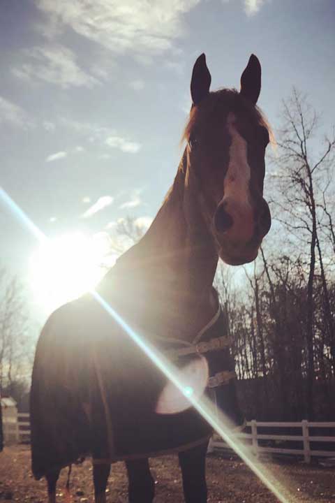 Erica-Miller-Wildlife-Rescue-Main-Carousel-22