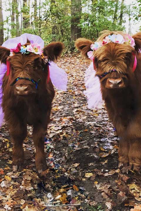 Erica-Miller-Wildlife-Rescue-Main-Carousel-47